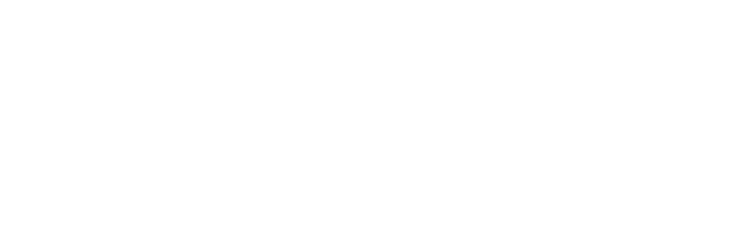 website-logo