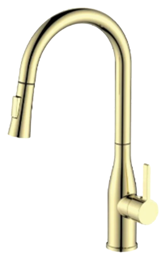 CM R1048BG Fixed Spout Kitchen Mixer Gold - product photo